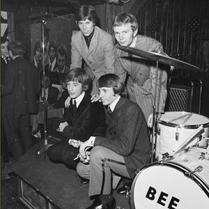 BEE GEES
