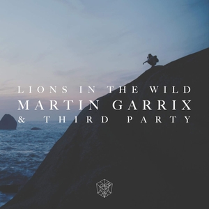 MARTIN GARRIX & THIRD PARTY