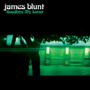 JAMES BLUNT - Goodbye My Lover