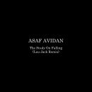 ASAF AVIDAN - The Study On Falling (Lau Jack Remix)