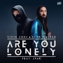 STEVE AOKI - Are You Lonely