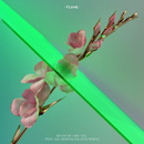 FLUME - Never Be Like You (Martin Solveig Remix)