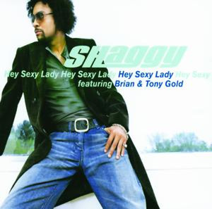 SHAGGY - Hey Sexy Lady