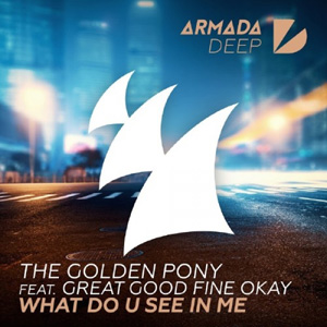 THE GOLDEN PONY - What Do U See In Me