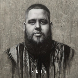 RAG'N'BONE MAN - Skin (Chris Diano Remix)