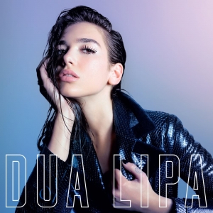 DUA LIPA - New Rules (No Tech Remix)