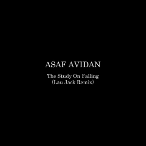 ASAF AVIDAN - The Study On Falling (Lau Jack Remix)
