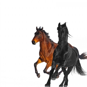LIL NAS - Old Town Road (Remix)