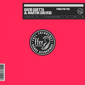 DAVID GUETTA - Thing For You