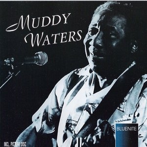 MUDDY WATERS - Mannish Boy