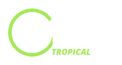 1More Tropical